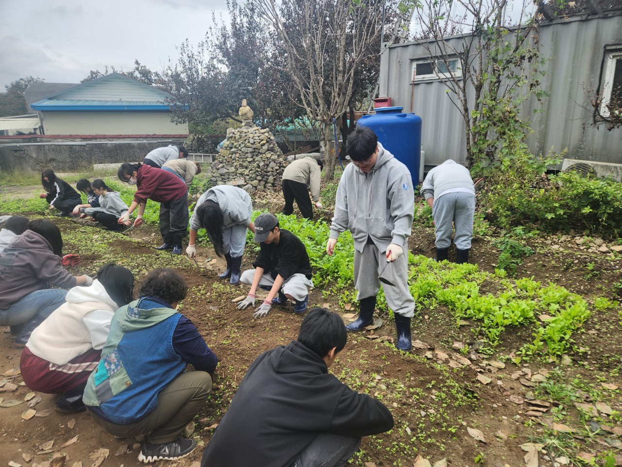 11. 울산고운중 학생들이 10월 생태교육의 하나로 교내 텃밭을 가꾸고 있다.jpg