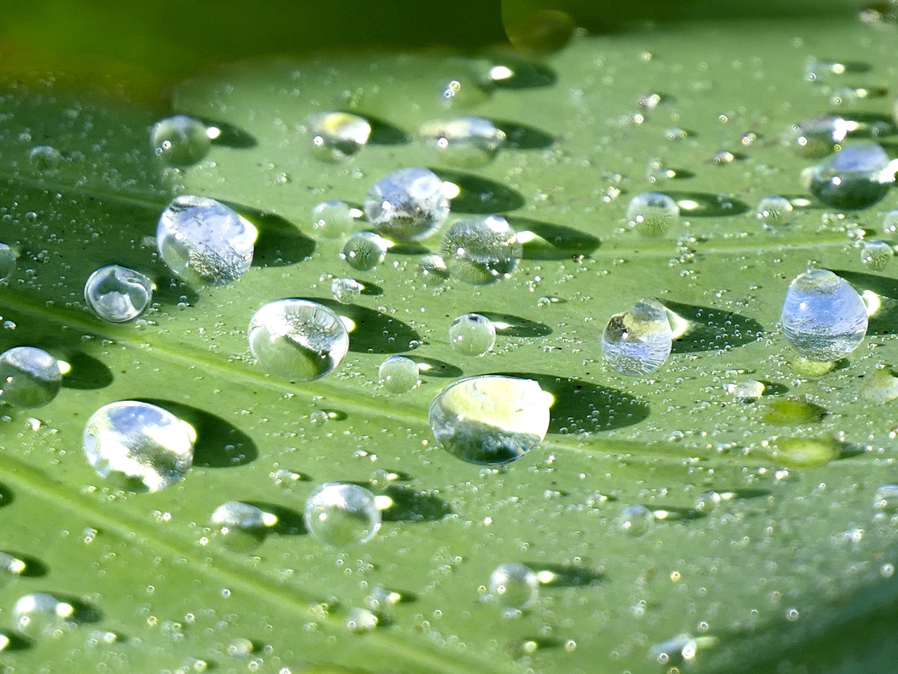 7. 울산초등사진교육연구회 제27회 회원전 사진(고영상-catharsis).jpg