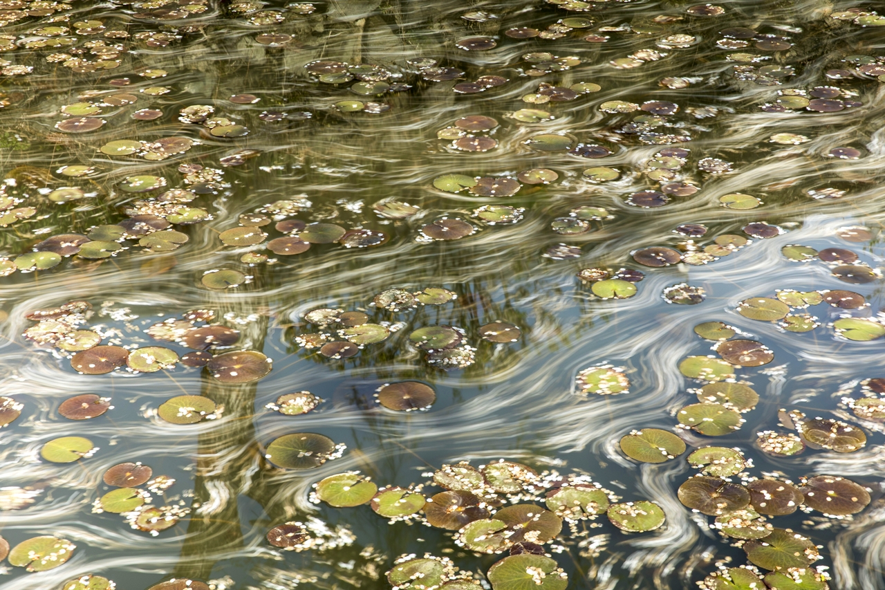 7. 울산초등사진교육연구회 제27회 회원전 사진(황상순-낙화유수).JPG