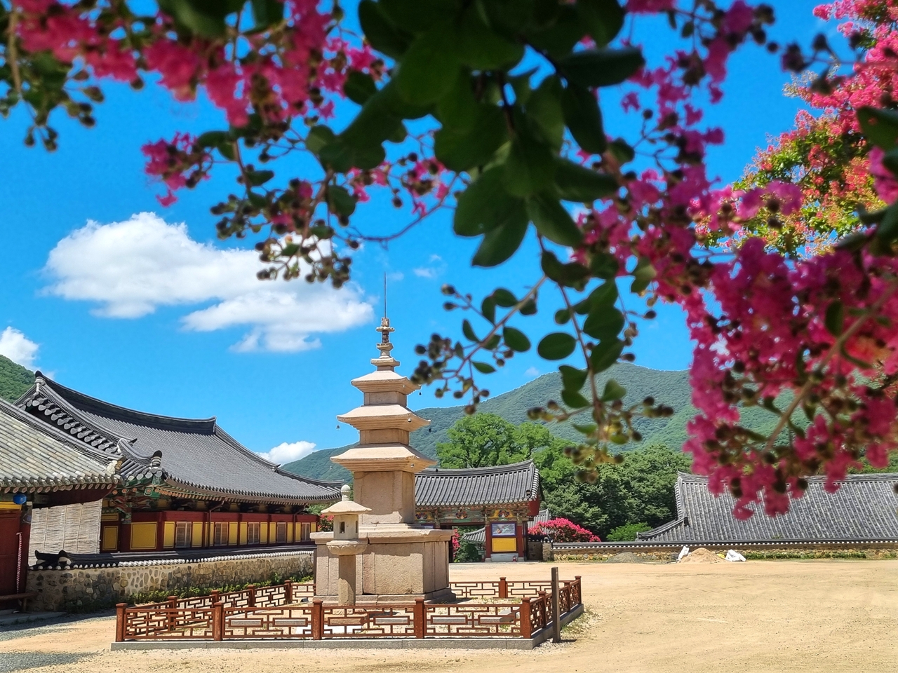 7. 울산초등사진교육연구회 제27회 회원전 사진(김경희-번뇌).jpg