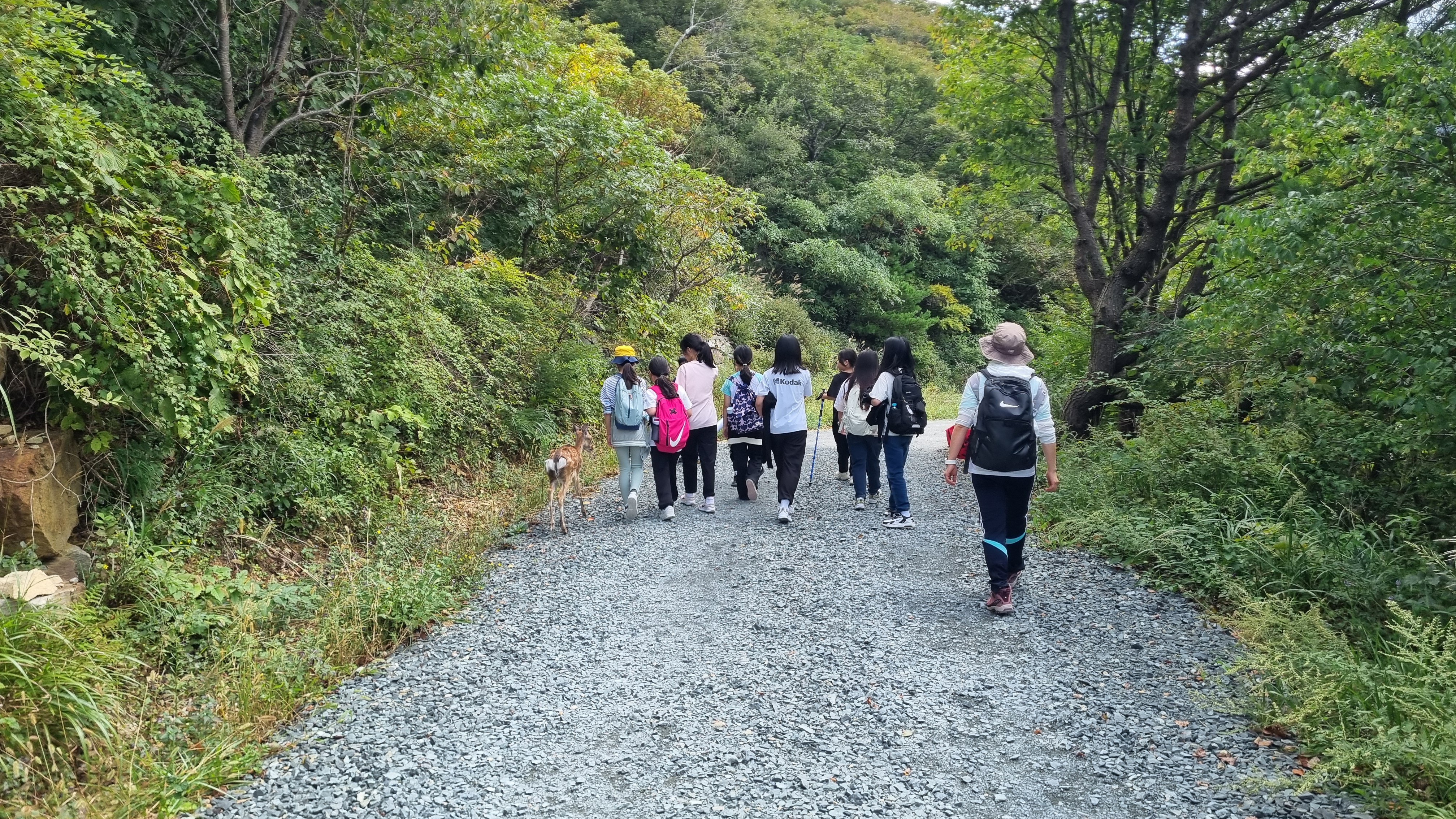 두동초, 간월재 정상에서 반구천의 암각화를 알리다 (1).jpg