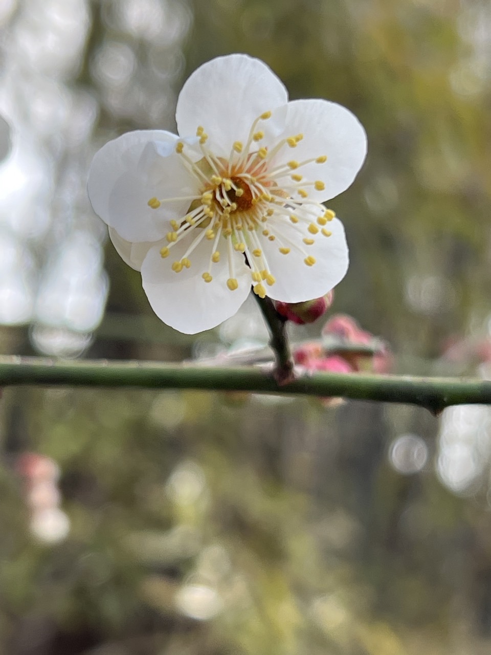 3월이모저모 (17).jpg