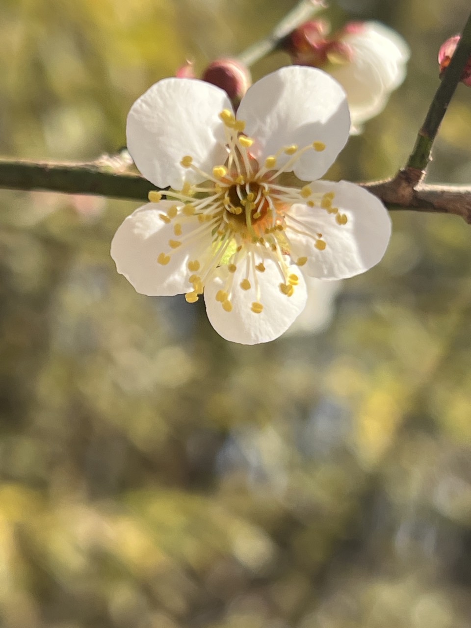 3월 14일  (22).jpg