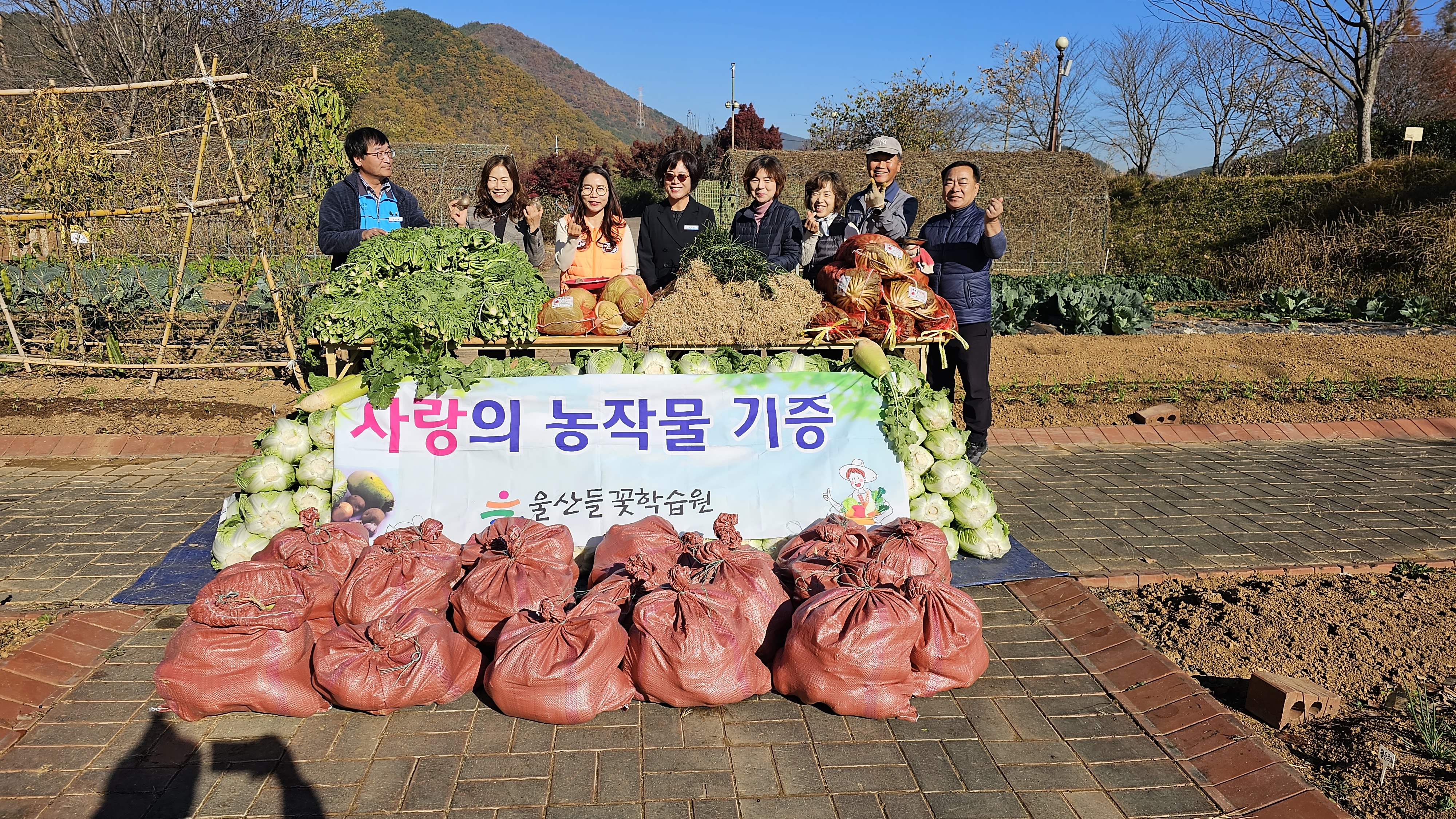 7 [들꽃학습원] 직접 재배한 배추 기부 (2).jpg