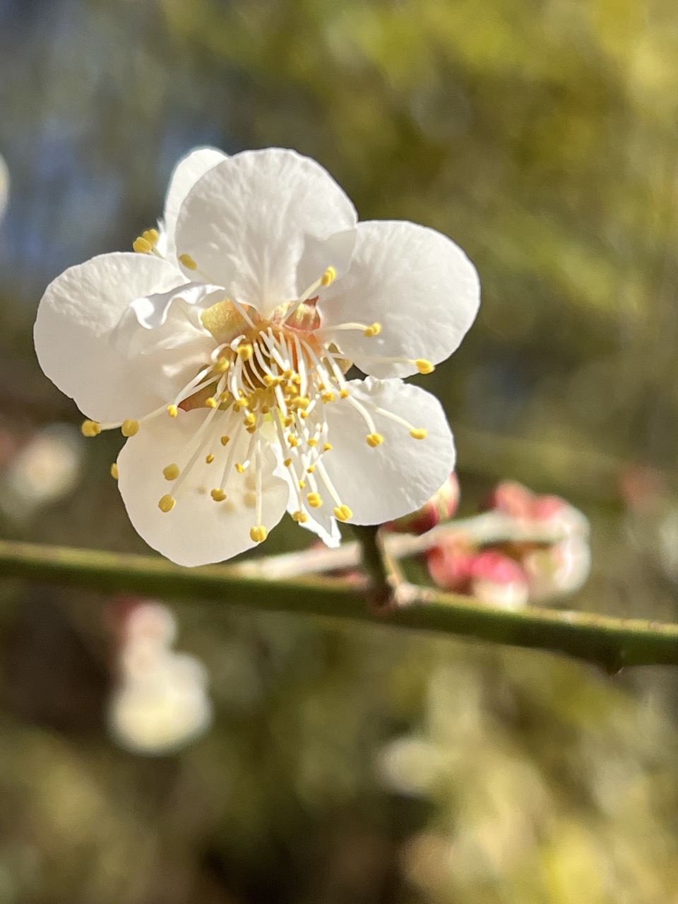 3월 14일  (23).jpg