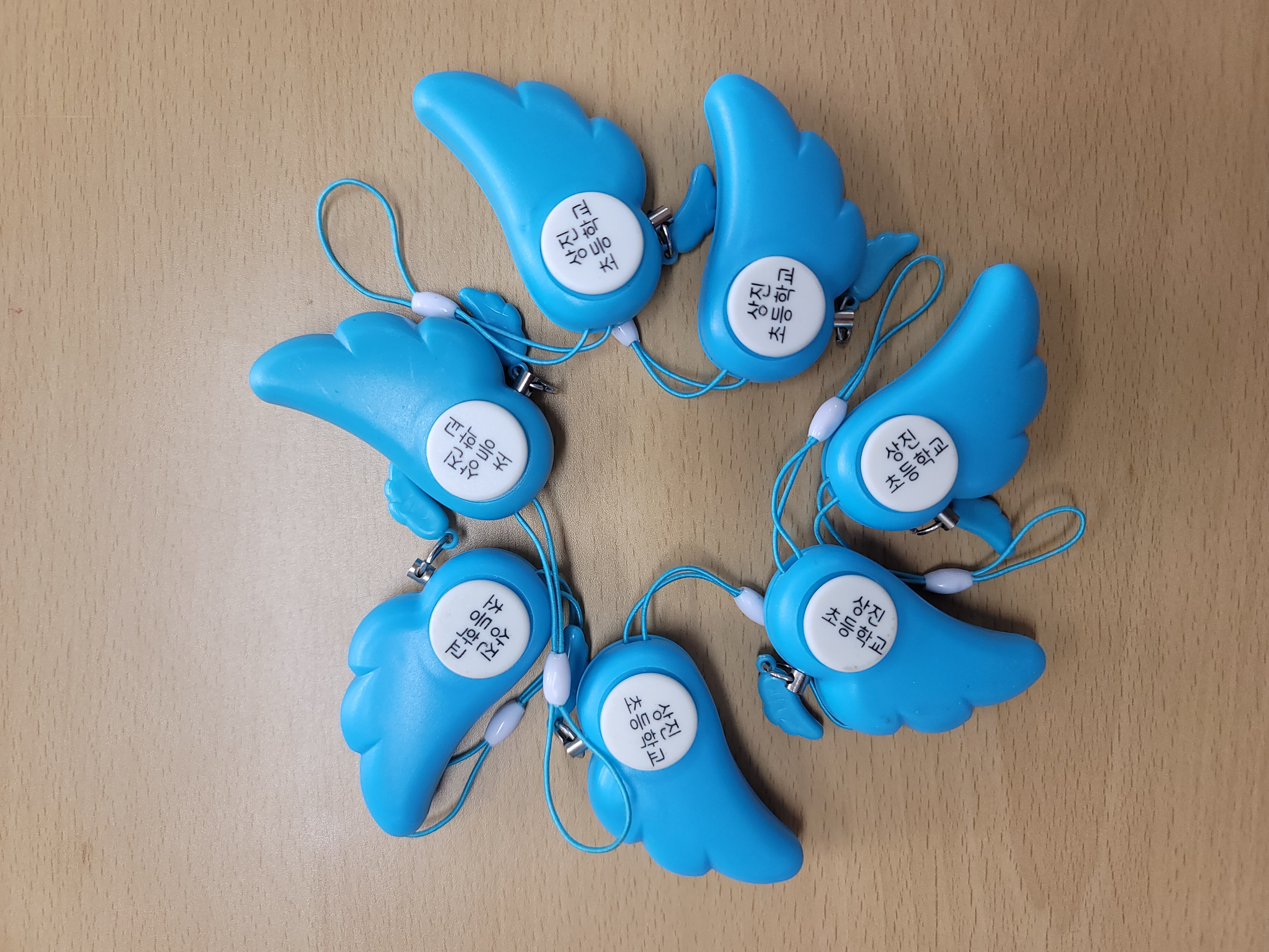 상진초등학교, 학생들에게 안전을 선물하다 (2).jpg