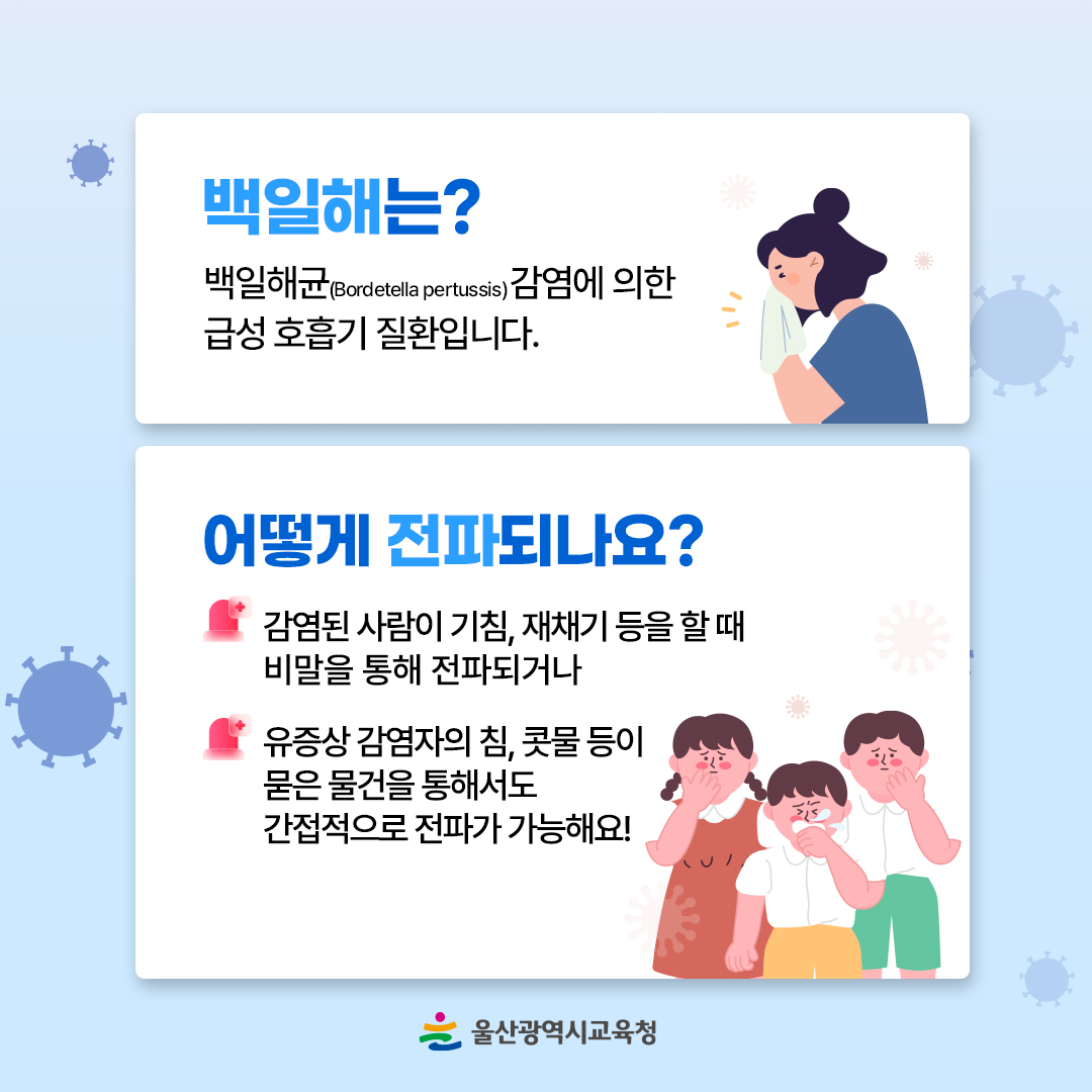 카드뉴스_백일해-예방-안내_2.jpg