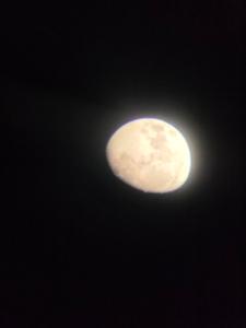 20250805_202425.jpg
