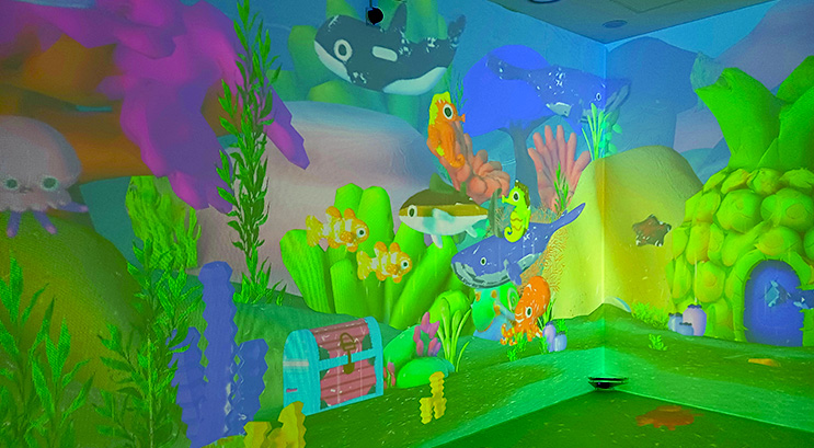 빛의 바다 사진